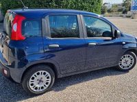Usata Fiat Panda City Life 69 CV (50 kW) 2021 Other Utilitaria
