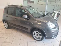 Usata Fiat Panda Cross Cross 70 CV (51 kW) 2023 Grigio Utilitaria