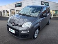 Usata Fiat Panda S 69 CV (50 kW) 2021 Grigio Utilitaria