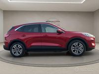Usata Ford Kuga Business Edition 225 CV (165 kW) 2021 Rosso SUV