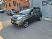 Usata Fiat Panda 4x4 S 75 CV (55 kW) 2015 Verde Utilitaria