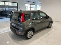 Usata Fiat Panda S 69 CV (50 kW) 2023 Grigio Utilitaria