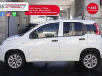 Usata Fiat Panda 84 CV (61 kW) 2020 Bianco Utilitaria
