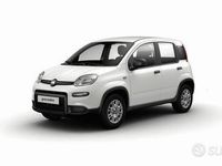 Nuova Fiat Panda S 69 CV (50 kW) 2025 Utilitaria