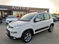 Usata Fiat Panda 4x4 S 86 CV (63 kW) 2013 Bianco Utilitaria