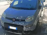 Usata Fiat Panda 4x4 S 84 CV (61 kW) 2019 Grigio Utilitaria