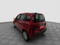 Nuova Fiat Panda Icon 65 CV (47 kW) 2025 Rosso passione con tetto nero Utilitaria
