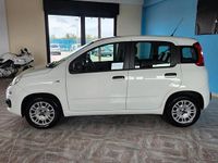 Usata Fiat Panda Easy 69 CV (50 kW) 2019 Bianco Utilitaria