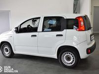 Usata Fiat Panda Pop 80 CV (58 kW) 2019 Bianco Utilitaria
