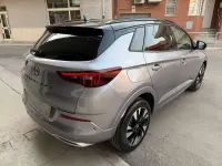 Usata Opel Grandland X Ultimate 131 CV (96 kW) 2022 Quartz grey met. SUV
