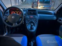 Usata Fiat Panda 77 CV (56 kW) 2010 Utilitaria