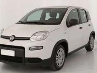 Usata Fiat Panda 69 CV (50 kW) 2021 Bianco gelato pastello extra Utilitaria