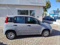 Usata Fiat Panda Easy 69 CV (50 kW) 2019 Grigio chiaro Utilitaria