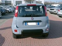 Usata Fiat Panda 86 CV (63 kW) 2021 Utilitaria