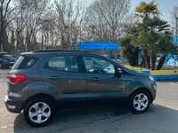Usata Ford Ecosport 99 CV (72 kW) 2019 Grigio SUV