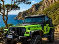 Usata Jeep Wrangler 118 CV (86 kW) 1999 Verde SUV