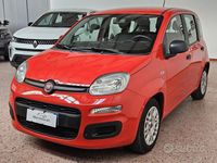 Usata Fiat Panda Easy 70 CV (51 kW) 2021 Rosso Berlina