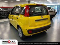 Nuova Fiat Panda S 69 CV (50 kW) 2025 Giallo Utilitaria