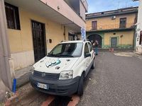 Usata Fiat Panda 60 CV (44 kW) 2008 Utilitaria