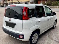 usata Fiat Panda 1.3 mjt 16v Easy s