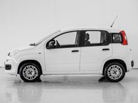 usata Fiat Panda 1.2 Easy