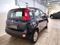 usata Fiat Panda Panda 3ª serie -1.2 Easy