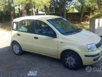 Usata Fiat Panda Active 54 CV (39 kW) 2010 Giallo Utilitaria