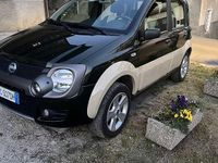 Usado Fiat Panda 4x4 Cross 69 CV (50 kW) 2006 Utilitario