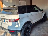 Usata Land Rover Range Rover evoque 241 CV (177 kW) 2018 Bianco SUV