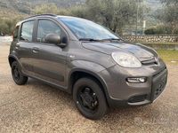 Usata Fiat Panda 4x4 Wild 86 CV (63 kW) 2022 Grigio Utilitaria