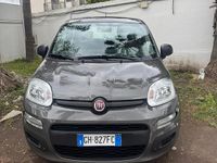 Usata Fiat Panda S 70 CV (51 kW) 2021 Grigio Utilitaria