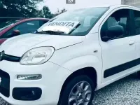 Usata Fiat Panda 4x4 S 75 CV (55 kW) 2015 Bianco Utilitaria