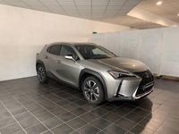usata Lexus UX Full Electric Luxury del 2019 usata a Torino