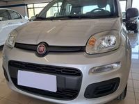 Usata Fiat Panda Easy 69 CV (50 kW) 2020 Grigio Utilitaria