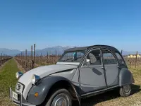 Usata Citroën 2CV Charleston 29 CV (21 kW) 1987 Grigio Berlina