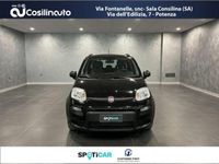 usata Fiat Panda Cross 1.0 FireFly S&S Hybrid City