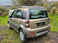 Usata Fiat Panda 4x4 Cross 70 CV (51 kW) 2007 Utilitaria