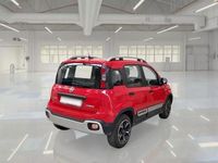 Usata Fiat Panda Cross Cross 69 CV (50 kW) 2021 Rosso Utilitaria