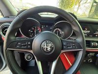 Usata Alfa Romeo Stelvio 2019 Grigio SUV