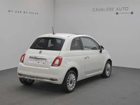 Usata Fiat 500 Dolcevita 69 CV (50 kW) 2024 Bianco Utilitaria
