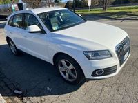 usata Audi Q5 2.0 tdi Advanced Plus 143cv