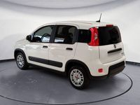 usata Fiat Panda 1.0 GSE S&S Hybrid Easy Van 4 posti nuova a Pordenone