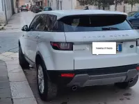Usata Land Rover Range Rover evoque 163 CV (119 kW) 2017 Bianco