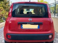 Usata Fiat Panda Easy 69 CV (50 kW) 2019 Rosso Utilitaria