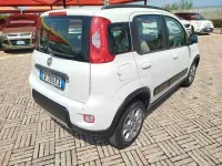 Usata Fiat Panda Trekking 75 CV (55 kW) 2014 Bianco Utilitaria