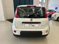 usata Fiat Panda 1.0 FireFly S&S Hybrid City Life