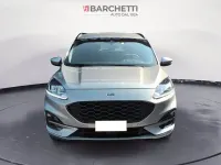 Usata Ford Kuga ST-Line 225 CV (165 kW) 2021 Argento SUV
