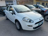 Usata Fiat Punto Lounge 85 CV (62 kW) 2016 Bianco Utilitaria