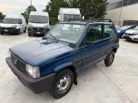 Usata Fiat Panda 4x4 Trekking 54 CV (39 kW) 2001 Blu Utilitaria