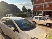 Usata Fiat Punto 75 CV (55 kW) 2013 Bianco Utilitaria